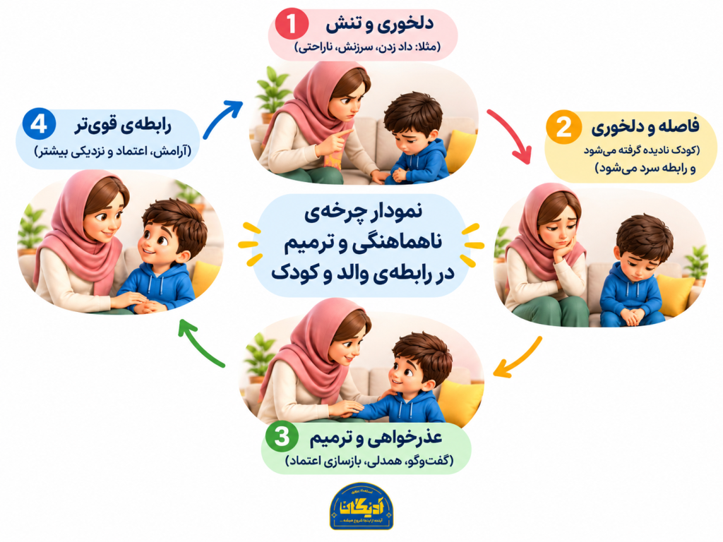 نمودار چرخه‌ی ناهماهنگی و ترمیم در رابطه‌ی والد و کودک